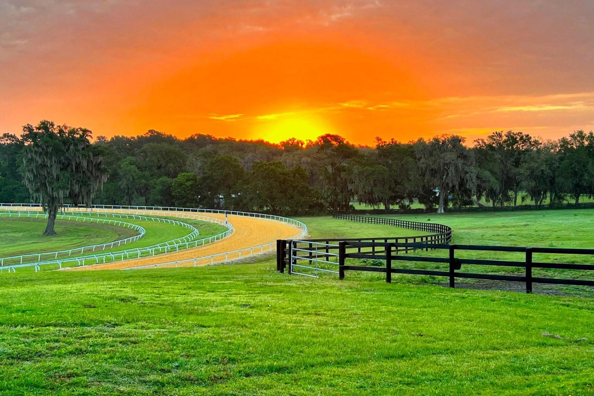 Two Springs Farm Guesthouse A Micanopy ภายนอก รูปภาพ